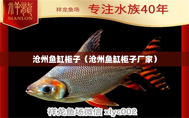 滄州魚(yú)缸柜子（滄州魚(yú)缸柜子廠家） 紅龍福龍魚(yú)