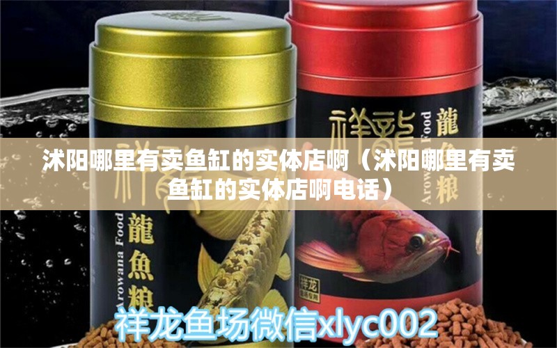 沭陽(yáng)哪里有賣魚缸的實(shí)體店?。ㄣ痍?yáng)哪里有賣魚缸的實(shí)體店啊電話）