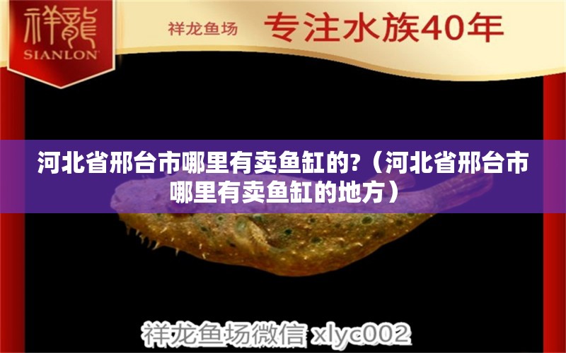 河北省邢臺市哪里有賣魚缸的?（河北省邢臺市哪里有賣魚缸的地方）