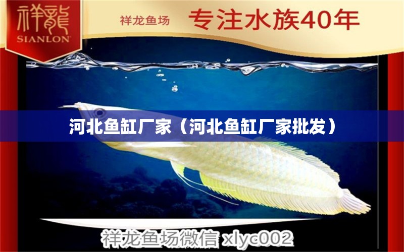 河北魚缸廠家（河北魚缸廠家批發(fā)）