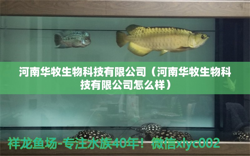 河南華牧生物科技有限公司（河南華牧生物科技有限公司怎么樣） 全國(guó)水族館企業(yè)名錄