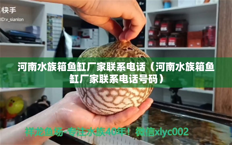 河南水族箱魚缸廠家聯(lián)系電話（河南水族箱魚缸廠家聯(lián)系電話號碼） 魚缸/水族箱