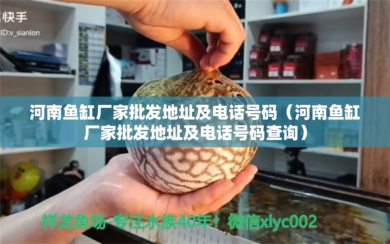 河南魚缸廠家批發(fā)地址及電話號碼（河南魚缸廠家批發(fā)地址及電話號碼查詢）