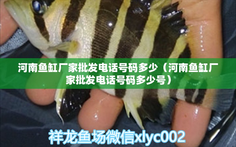 河南魚缸廠家批發(fā)電話號碼多少（河南魚缸廠家批發(fā)電話號碼多少號）