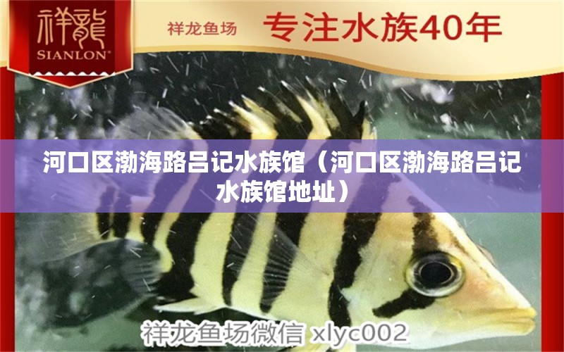 河口區(qū)渤海路呂記水族館（河口區(qū)渤海路呂記水族館地址）