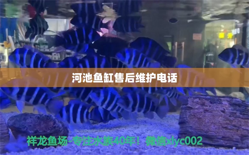 河池魚缸售后維護(hù)電話