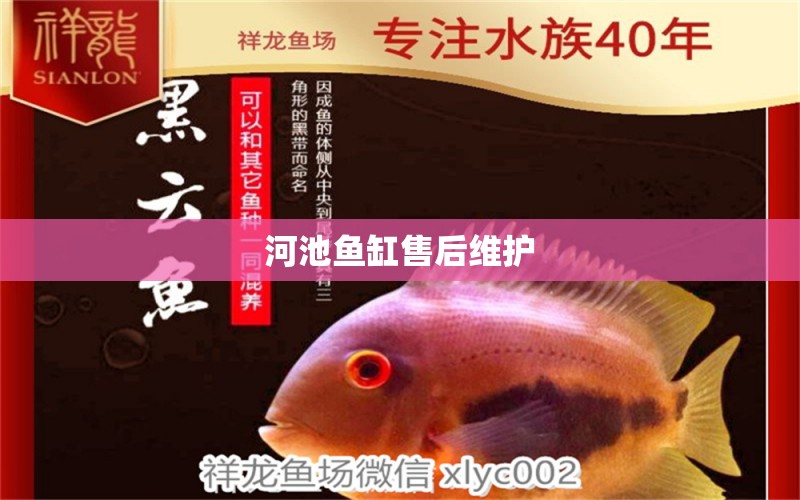 河池魚缸售后維護(hù) 彩鰈魚缸（彩蝶魚缸）