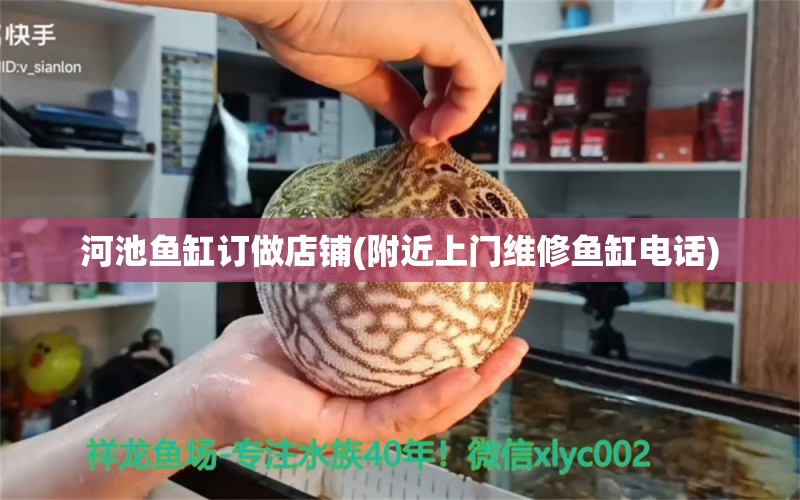 河池魚缸訂做店鋪(附近上門維修魚缸電話) 野生地圖魚 第1張