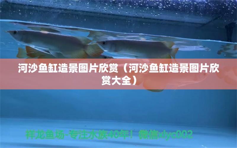 河沙魚缸造景圖片欣賞（河沙魚缸造景圖片欣賞大全）