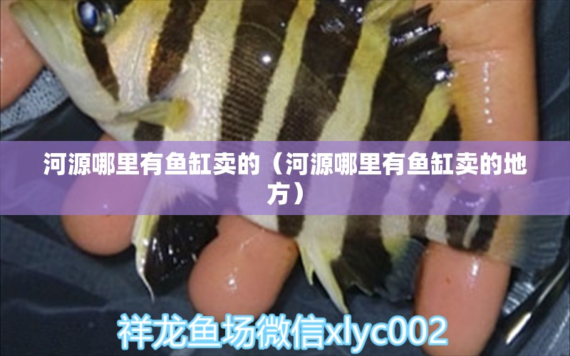 河源哪里有魚缸賣的（河源哪里有魚缸賣的地方） 其他品牌魚缸