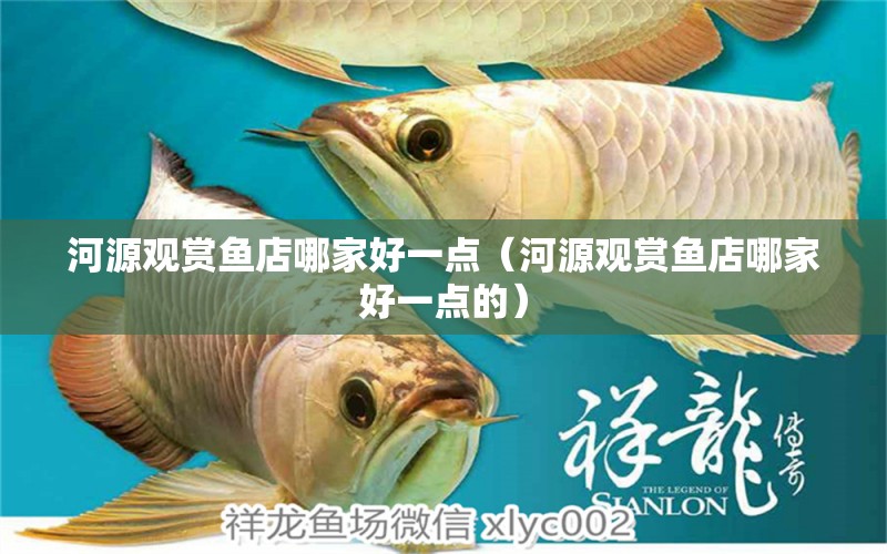 河源觀賞魚店哪家好一點(diǎn)（河源觀賞魚店哪家好一點(diǎn)的） 祥龍水族醫(yī)院