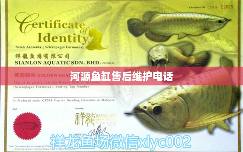 河源魚缸售后維護(hù)電話 其他品牌魚缸