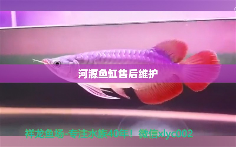 河源魚缸售后維護