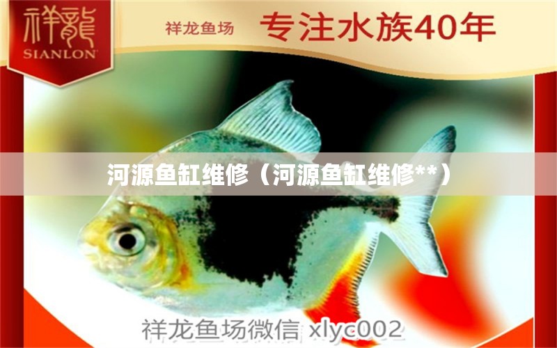 河源魚缸維修（河源魚缸維修**）