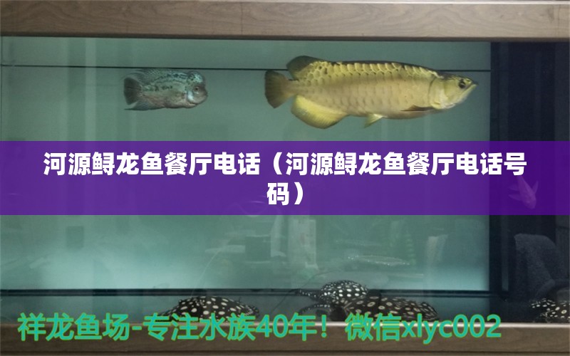 河源鱘龍魚餐廳電話（河源鱘龍魚餐廳電話號碼） 祥龍水族醫(yī)院