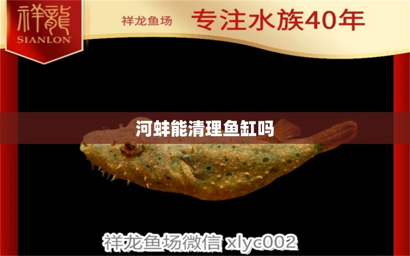 河蚌能清理魚缸嗎