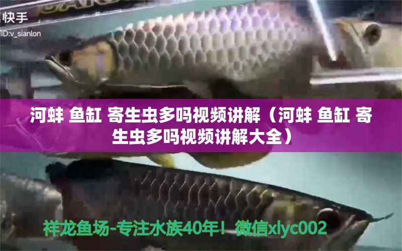 河蚌 魚缸 寄生蟲多嗎視頻講解（河蚌 魚缸 寄生蟲多嗎視頻講解大全）