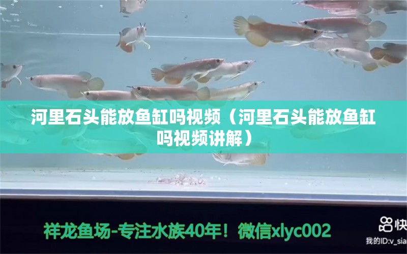 河里石頭能放魚缸嗎視頻（河里石頭能放魚缸嗎視頻講解） 其他品牌魚缸