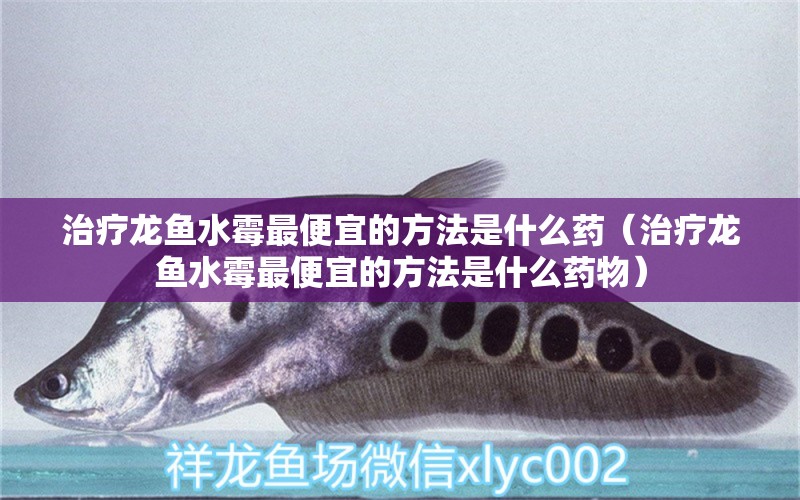 治療龍魚水霉最便宜的方法是什么藥（治療龍魚水霉最便宜的方法是什么藥物） 龍魚疾病與治療