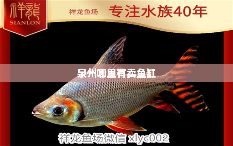 泉州哪里有賣魚缸 其他品牌魚缸