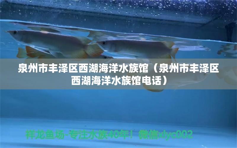 泉州市豐澤區(qū)西湖海洋水族館（泉州市豐澤區(qū)西湖海洋水族館電話） 全國水族館企業(yè)名錄