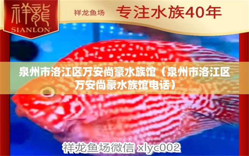 泉州市洛江區(qū)萬(wàn)安尚豪水族館（泉州市洛江區(qū)萬(wàn)安尚豪水族館電話） 全國(guó)水族館企業(yè)名錄