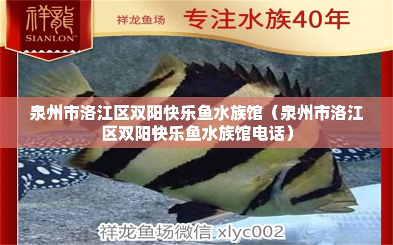 泉州市洛江區(qū)雙陽快樂魚水族館（泉州市洛江區(qū)雙陽快樂魚水族館電話）