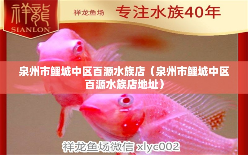 泉州市鯉城中區(qū)百源水族店（泉州市鯉城中區(qū)百源水族店地址）