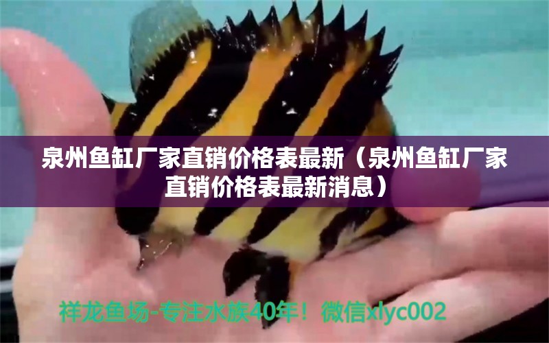 泉州魚缸廠家直銷價格表最新（泉州魚缸廠家直銷價格表最新消息） 祥龍水族醫(yī)院