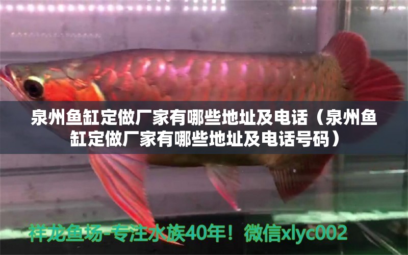 泉州魚缸定做廠家有哪些地址及電話（泉州魚缸定做廠家有哪些地址及電話號碼） 黃金夢幻雷龍魚