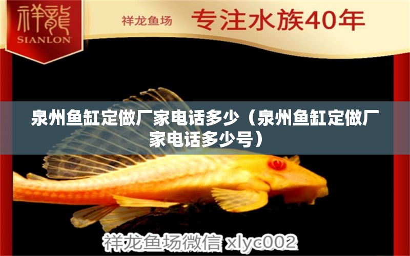 泉州魚(yú)缸定做廠家電話多少（泉州魚(yú)缸定做廠家電話多少號(hào)）