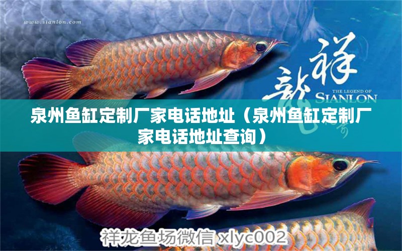 泉州魚缸定制廠家電話地址（泉州魚缸定制廠家電話地址查詢） 祥龍水族醫(yī)院