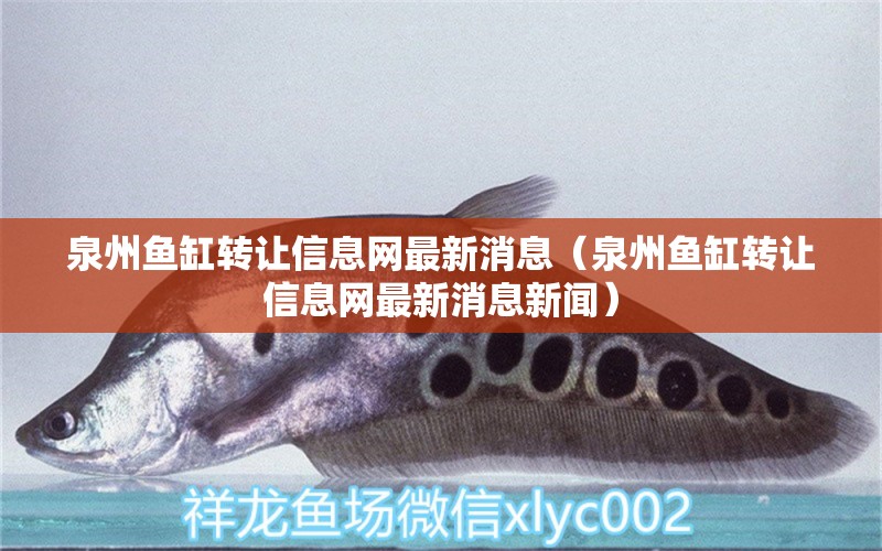 泉州魚缸轉(zhuǎn)讓信息網(wǎng)最新消息（泉州魚缸轉(zhuǎn)讓信息網(wǎng)最新消息新聞） 祥龍水族醫(yī)院