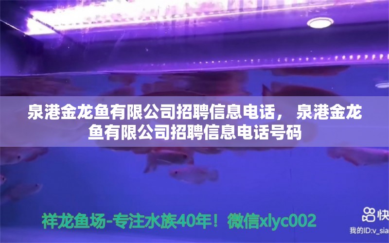 泉港金龍魚有限公司招聘信息電話， 泉港金龍魚有限公司招聘信息電話號碼