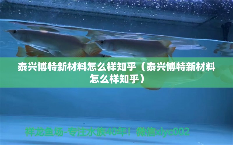 泰興博特新材料怎么樣知乎（泰興博特新材料怎么樣知乎）