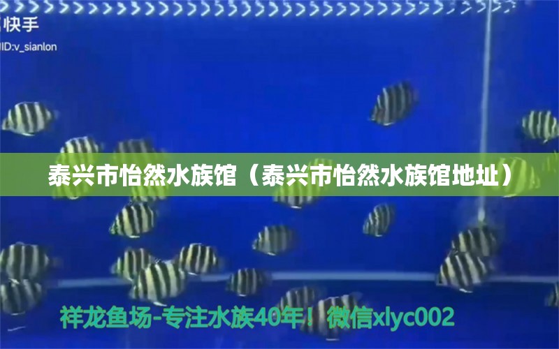 泰興市怡然水族館（泰興市怡然水族館地址） 全國水族館企業(yè)名錄