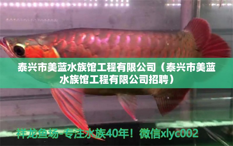 泰興市美藍(lán)水族館工程有限公司（泰興市美藍(lán)水族館工程有限公司招聘） 全國(guó)水族館企業(yè)名錄