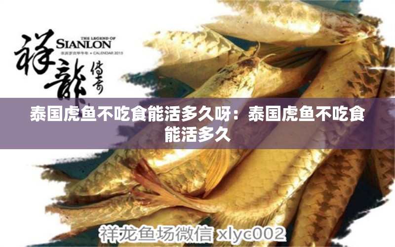 泰國虎魚不吃食能活多久呀：泰國虎魚不吃食能活多久 泰國虎魚 第2張