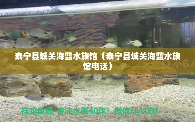 泰寧縣城關(guān)海藍(lán)水族館（泰寧縣城關(guān)海藍(lán)水族館電話） 全國水族館企業(yè)名錄