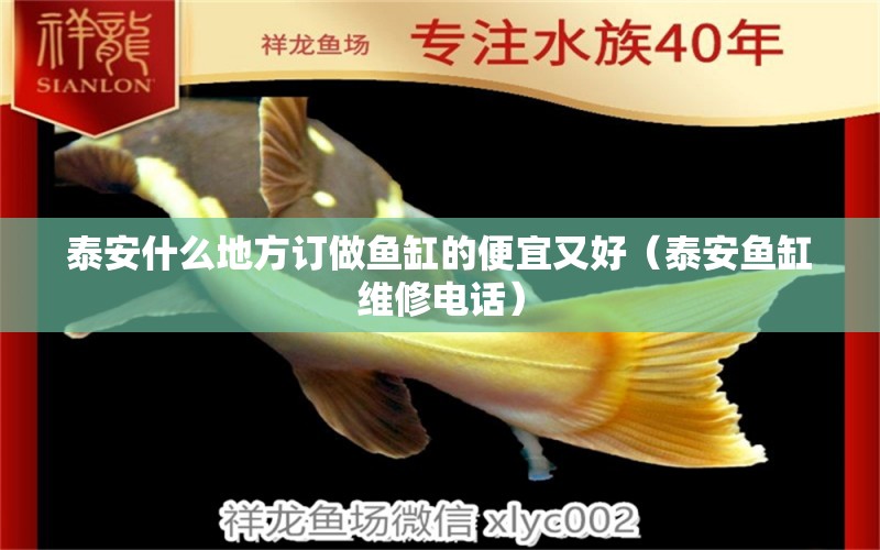 泰安什么地方訂做魚(yú)缸的便宜又好（泰安魚(yú)缸維修電話） 廣州觀賞魚(yú)批發(fā)市場(chǎng)