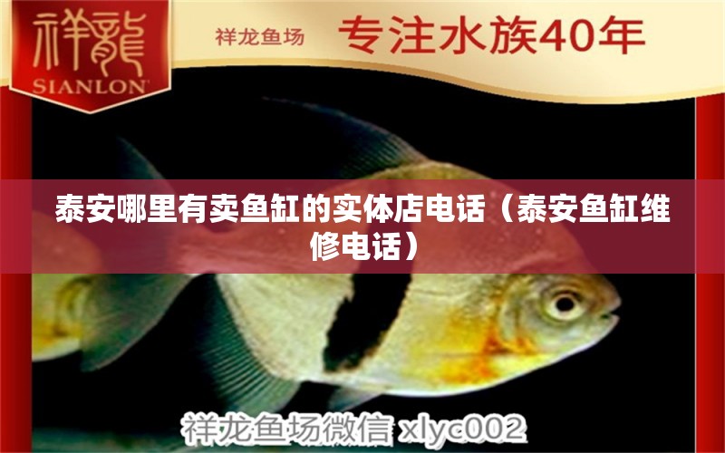 泰安哪里有賣魚缸的實體店電話（泰安魚缸維修電話） 蘇虎