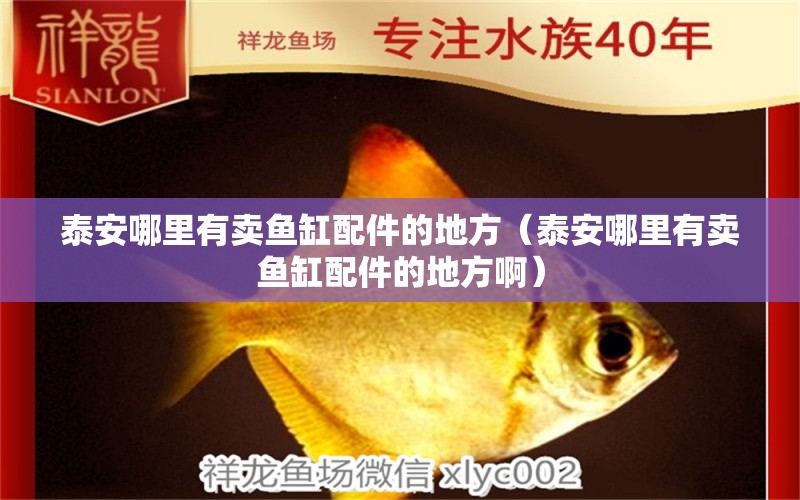 泰安哪里有賣(mài)魚(yú)缸配件的地方（泰安哪里有賣(mài)魚(yú)缸配件的地方?。?其他品牌魚(yú)缸