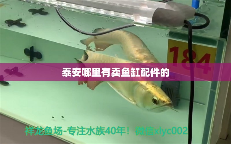 泰安哪里有賣(mài)魚(yú)缸配件的 其他品牌魚(yú)缸