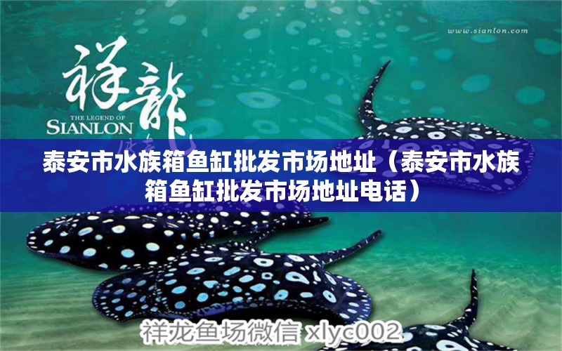 泰安市水族箱魚缸批發(fā)市場地址（泰安市水族箱魚缸批發(fā)市場地址電話） 魚缸/水族箱