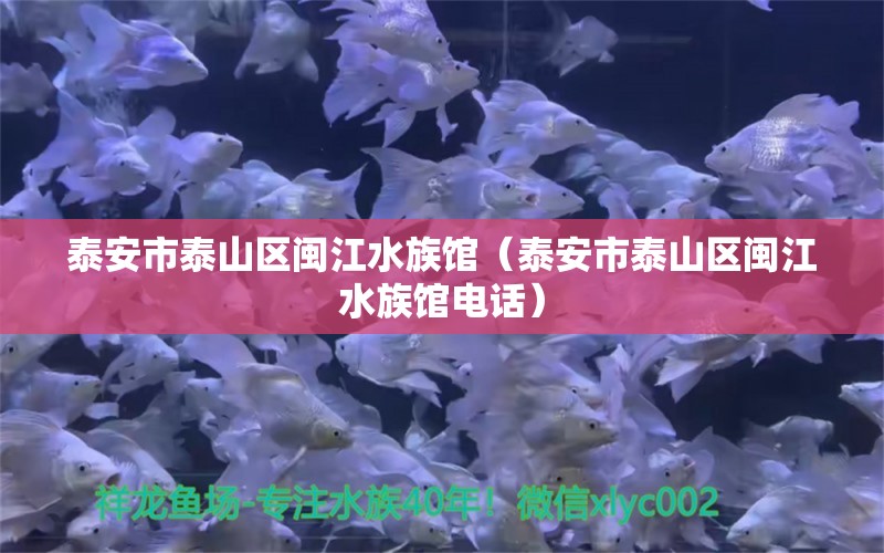 泰安市泰山區(qū)閩江水族館（泰安市泰山區(qū)閩江水族館電話）