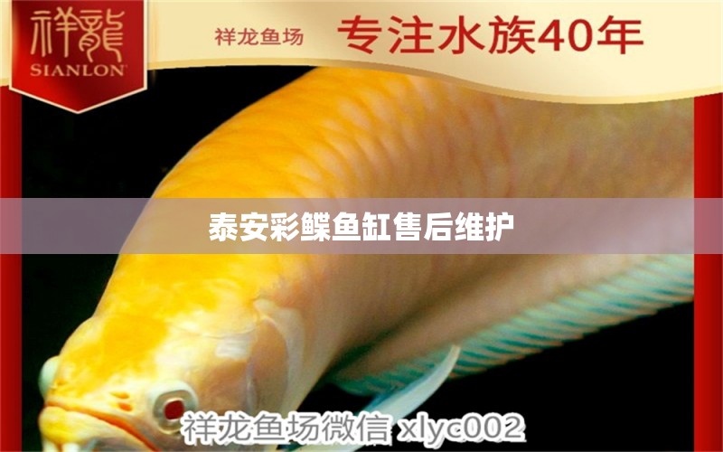 泰安彩鰈魚(yú)缸售后維護(hù)