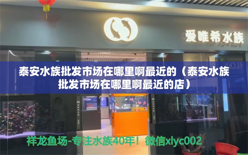 泰安水族批發(fā)市場在哪里啊最近的（泰安水族批發(fā)市場在哪里啊最近的店）