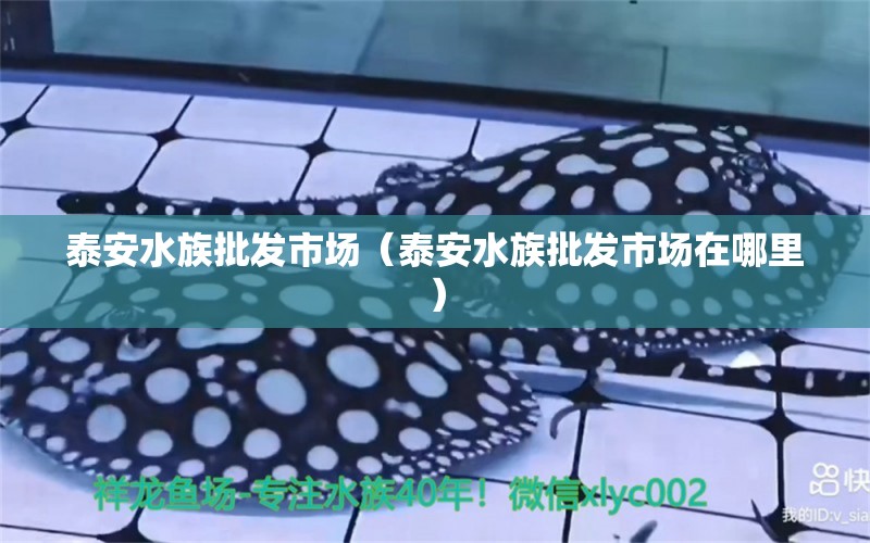 泰安水族批發(fā)市場(chǎng)（泰安水族批發(fā)市場(chǎng)在哪里）