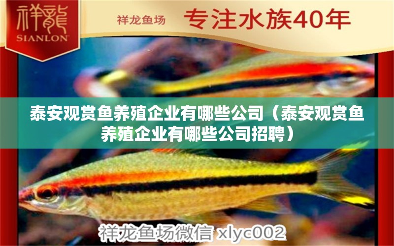 泰安觀賞魚養(yǎng)殖企業(yè)有哪些公司（泰安觀賞魚養(yǎng)殖企業(yè)有哪些公司招聘）