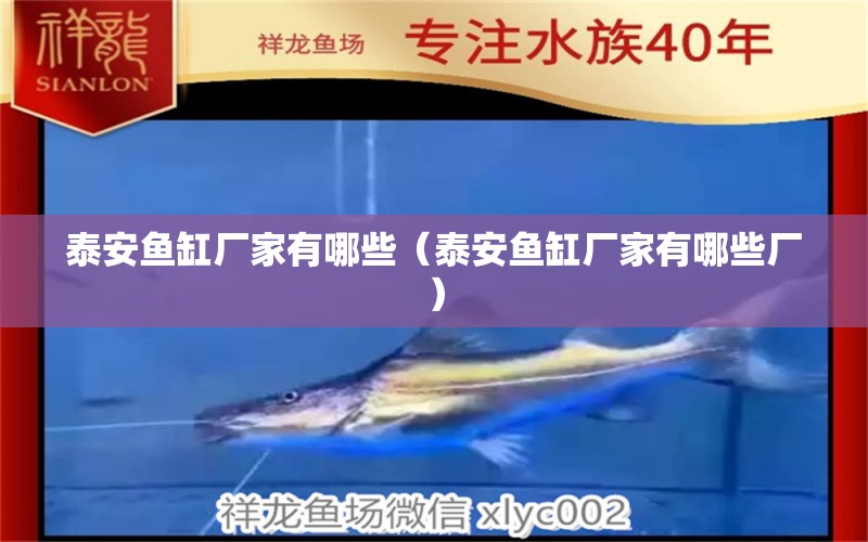 泰安魚缸廠家有哪些（泰安魚缸廠家有哪些廠） 其他品牌魚缸